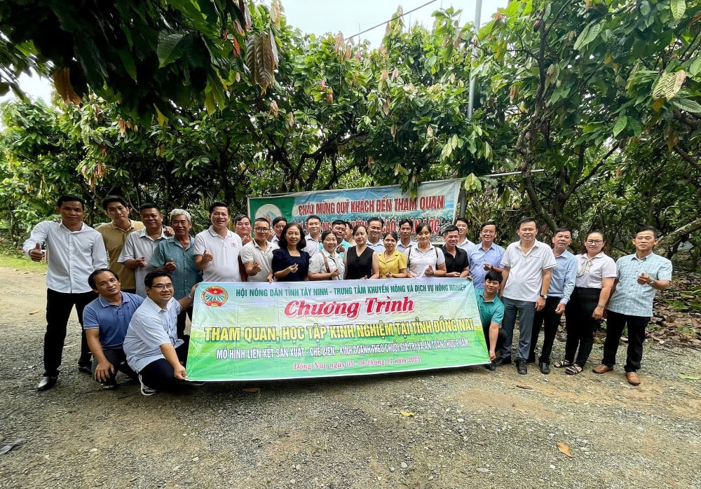 ताई निन्ह प्रांत के कृषक संघ के प्रतिनिधिमंडल ने डोंग नाई प्रांत में विशिष्ट सहकारी समितियों के अनुभवों से सीखा।