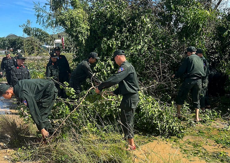 Légende de la photo