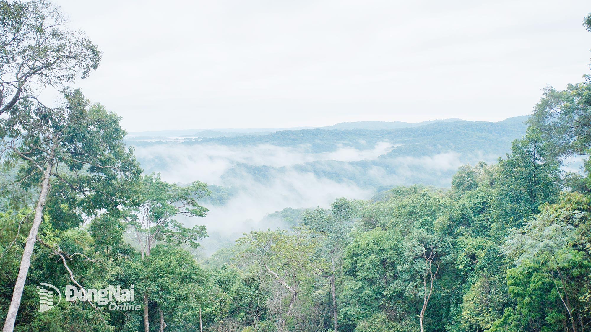 Reggelre a Bu Gia Map Nemzeti Parkot reggeli köd borítja.