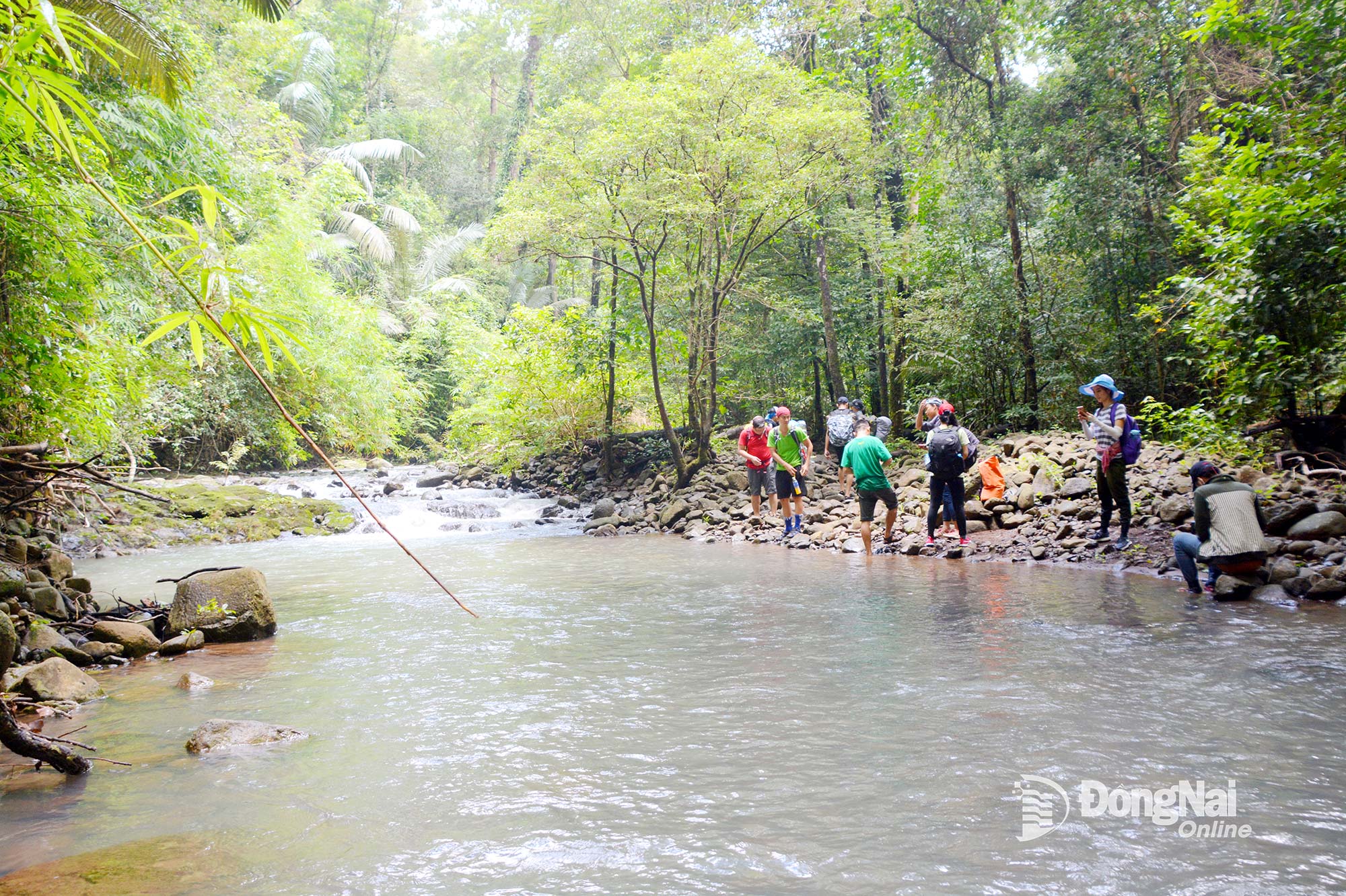 Turisták csoportjai érkeznek a Bu Gia Map Nemzeti Parkba ebben az időszakban, hogy hallgassák az