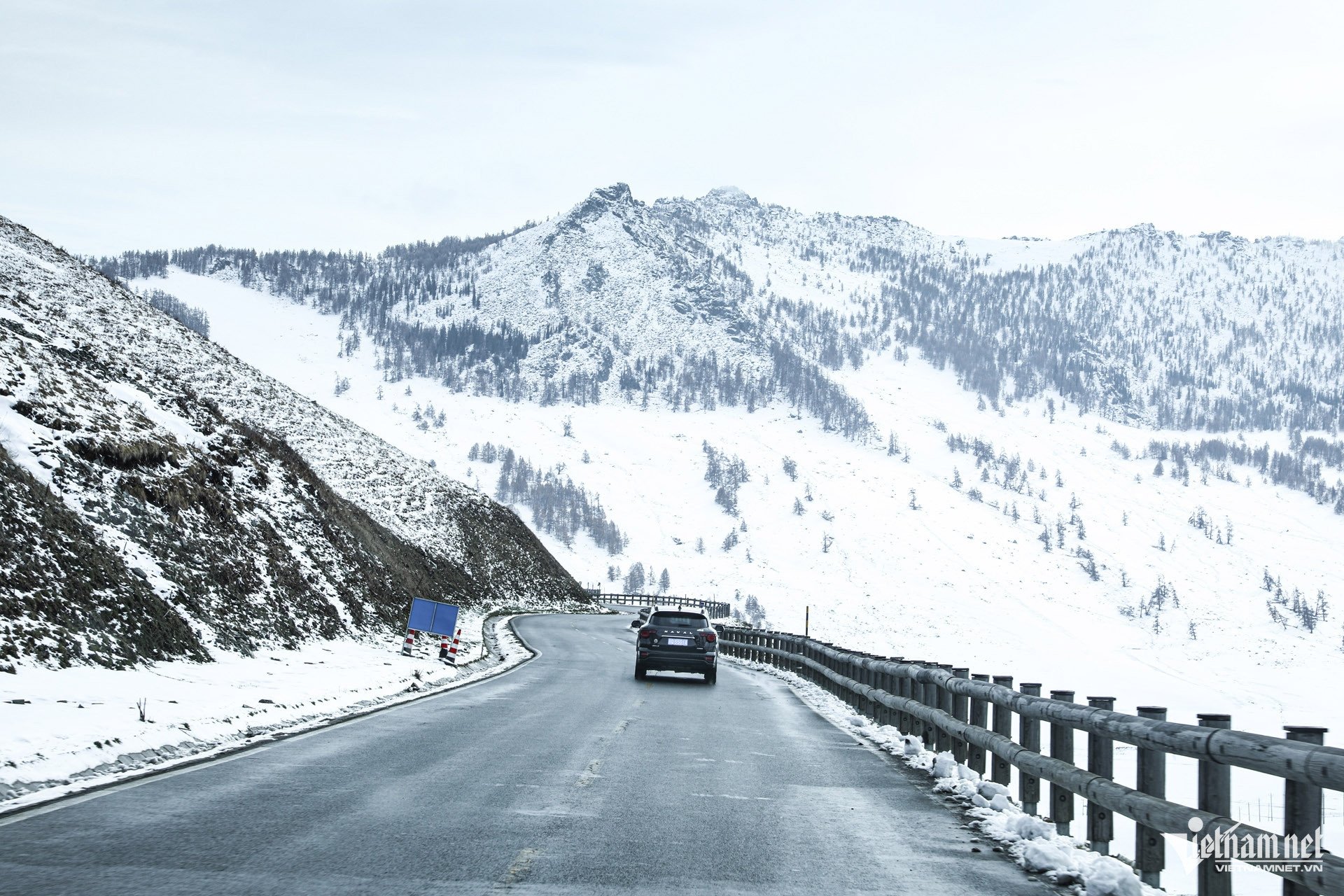 W-tan cuong (16).jpg