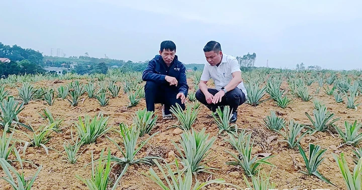 Trạm Thản phát triển nông, lâm nghiệp, thủy sản bền vững