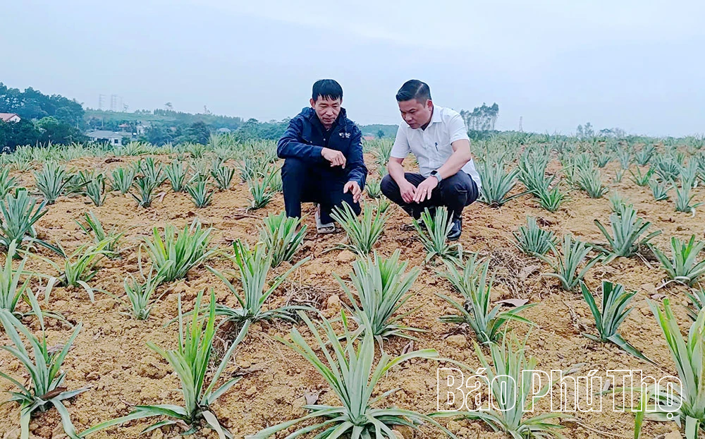 Than Station អភិវឌ្ឍវិស័យកសិកម្ម ព្រៃឈើ និងនេសាទប្រកបដោយនិរន្តរភាព