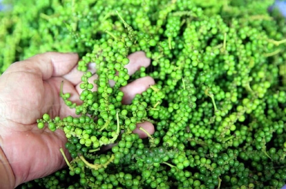 Giá tiêu hôm nay 8/11/2025 ở trong nước và thế giới mới nhất