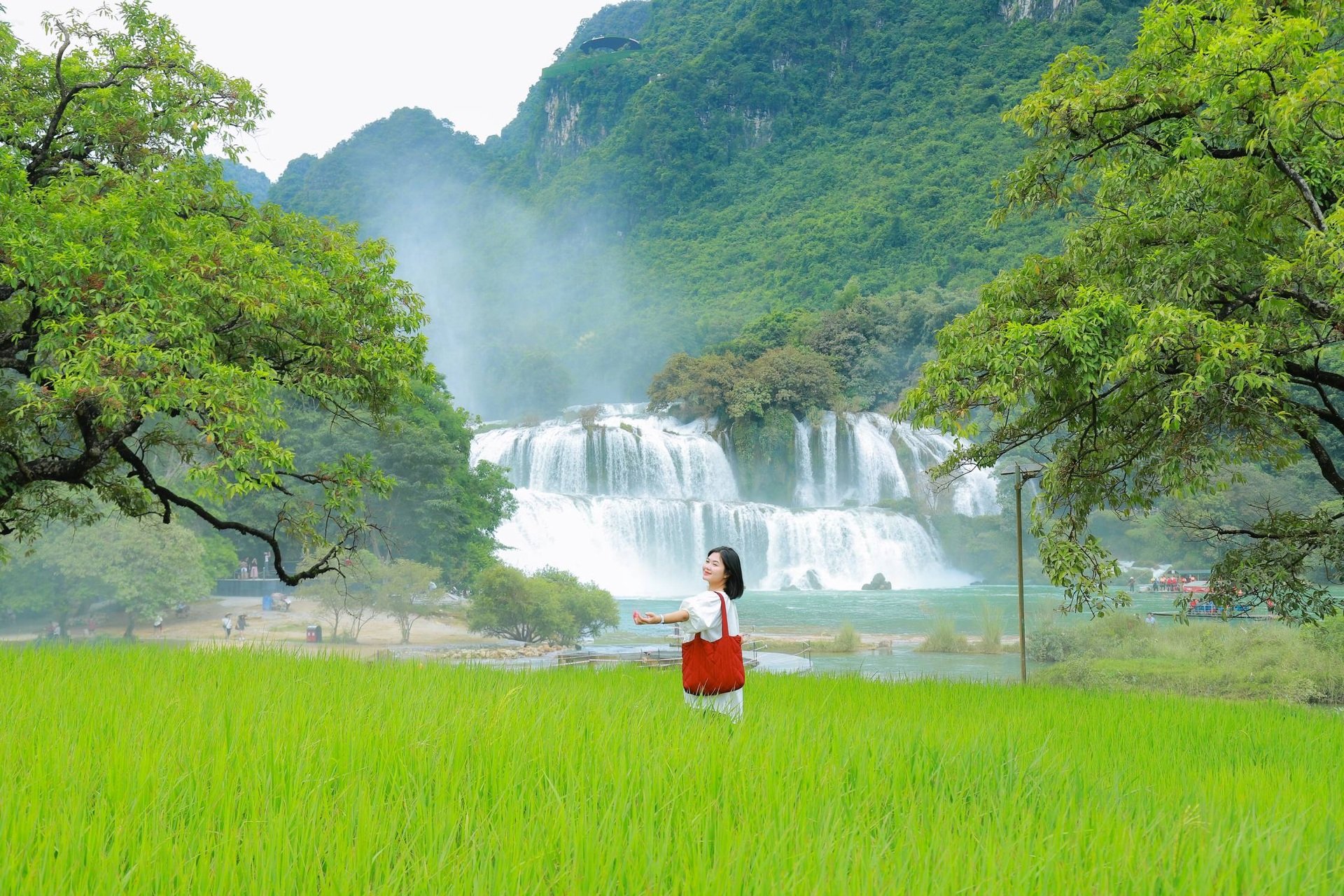 Cao Bang ក្នុងរដូវដ៏ស្រស់ស្អាតបំផុតរបស់វា៖ ភ្នំ ព្រៃឈើ និងទឹកជ្រោះអញ្ជើញអ្នកទេសចរ - ៦