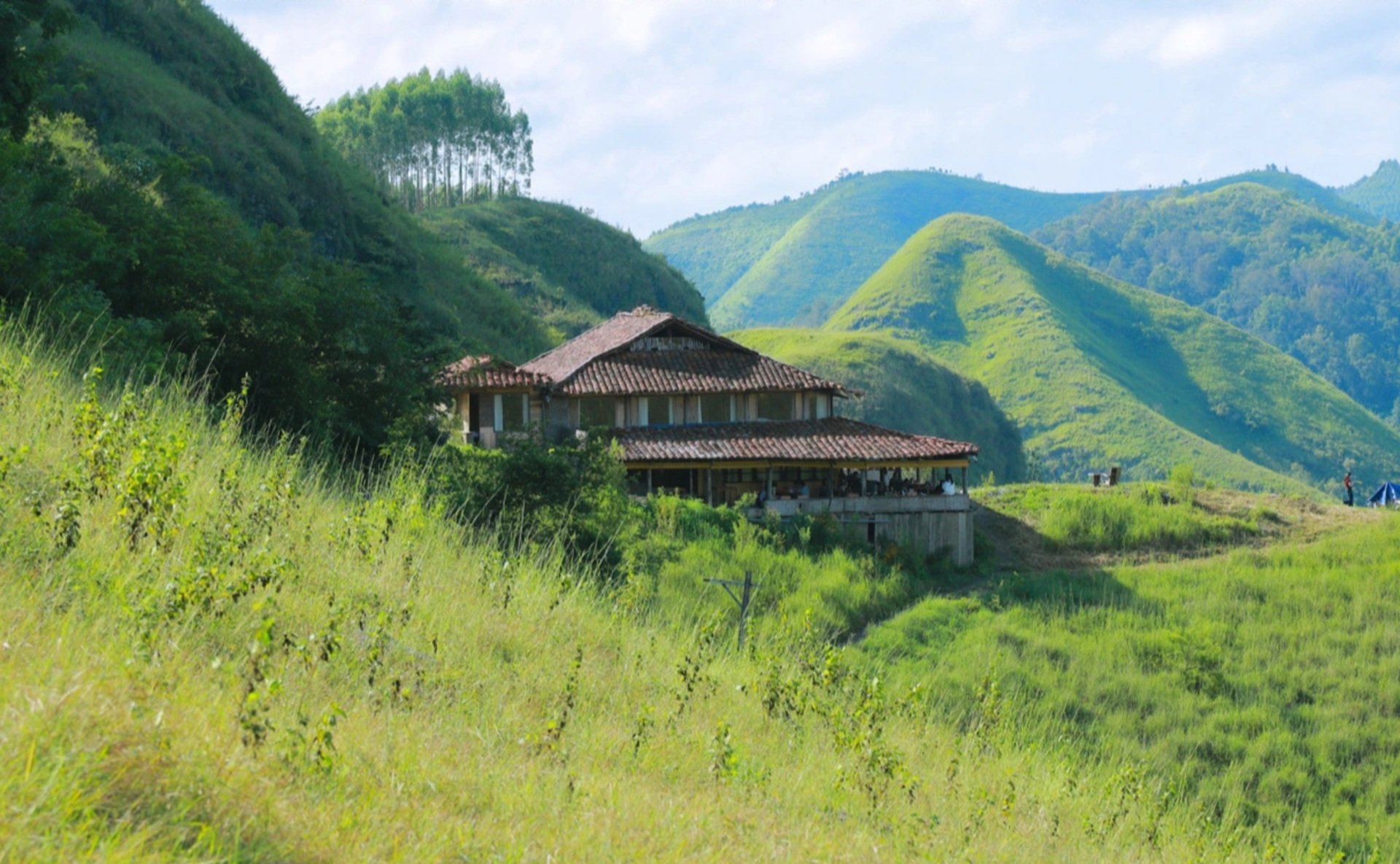 Cao Bang ក្នុងរដូវដ៏ស្រស់ស្អាតបំផុតរបស់វា៖ ភ្នំ ព្រៃឈើ និងទឹកជ្រោះអញ្ជើញអ្នកទេសចរ - ៧