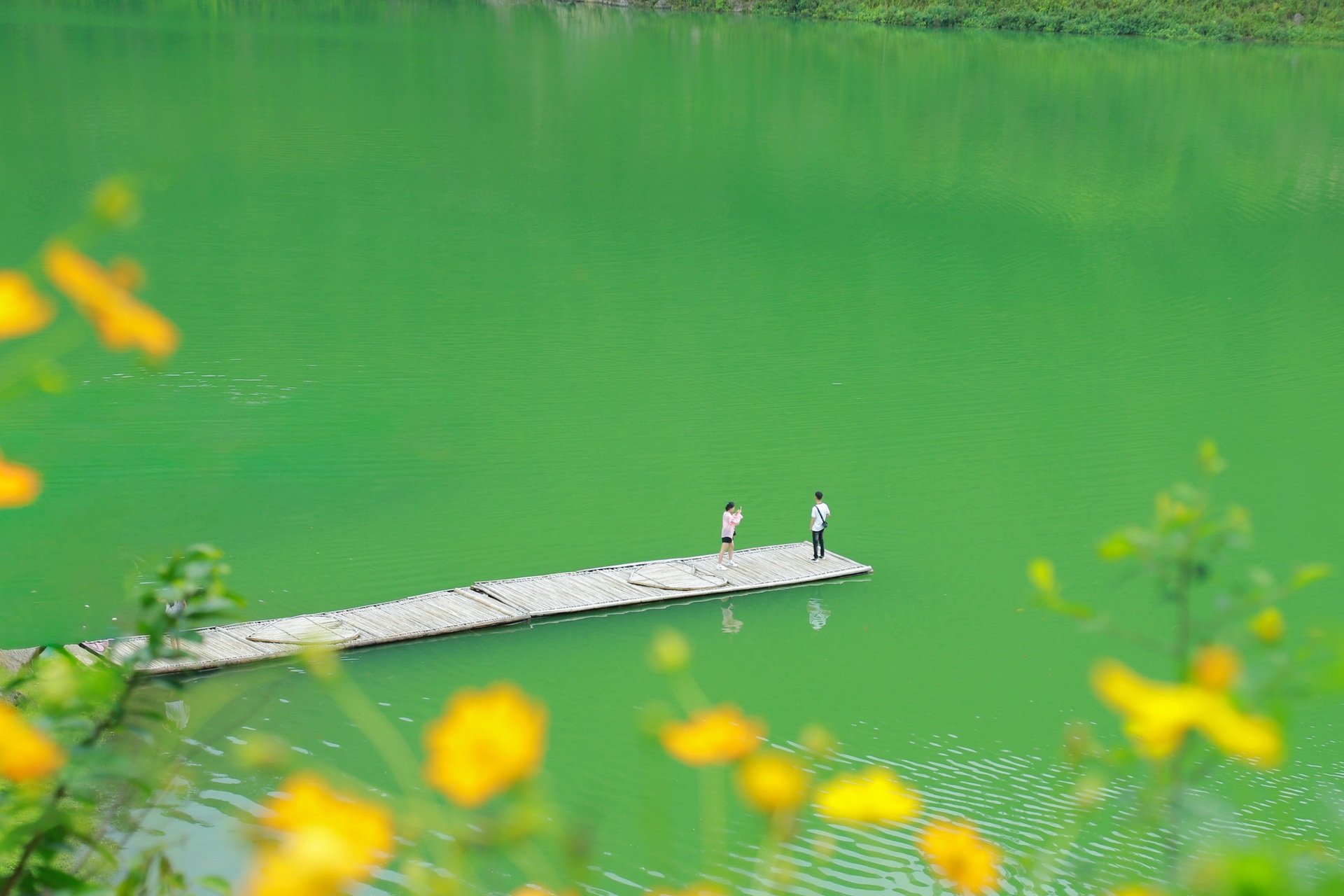Cao Bang ក្នុងរដូវដ៏ស្រស់ស្អាតបំផុតរបស់វា៖ ភ្នំ ព្រៃឈើ និងទឹកជ្រោះអញ្ជើញអ្នកទេសចរ - ៩