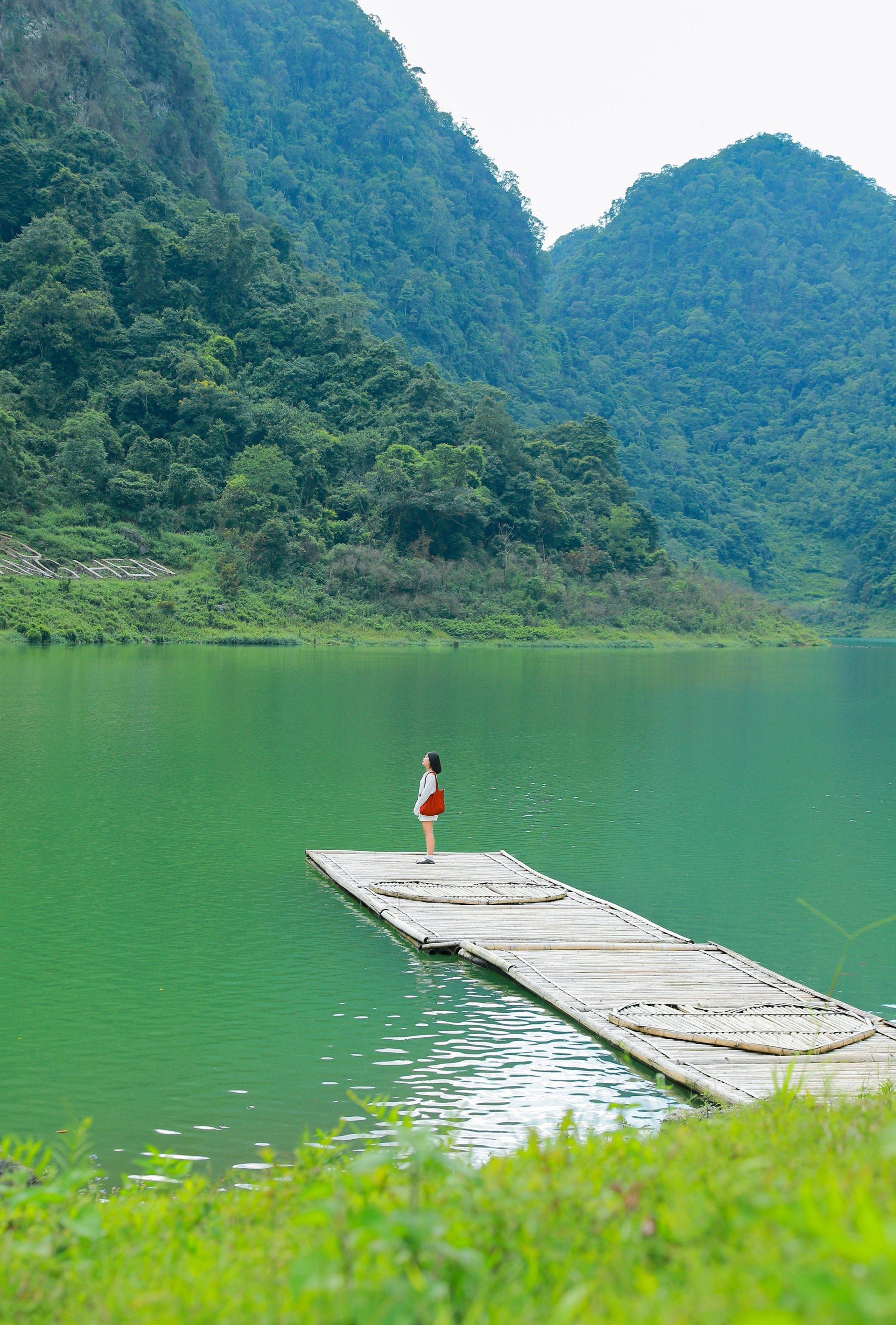 Cao Bang ក្នុងរដូវដ៏ស្រស់ស្អាតបំផុតរបស់វា៖ ភ្នំ ព្រៃឈើ និងទឹកជ្រោះអញ្ជើញអ្នកទេសចរ - ១០