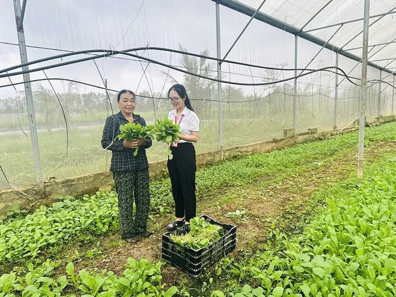 Aducerea persistentă a politicilor de credit preferențiale în zonele rurale