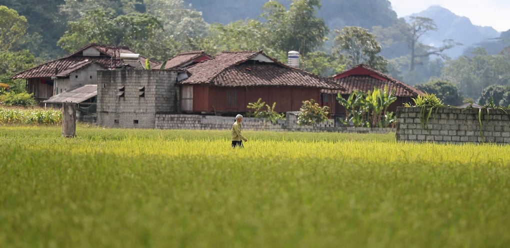 ベトナムのタイ村は2025年に世界最高の観光村になる - 1