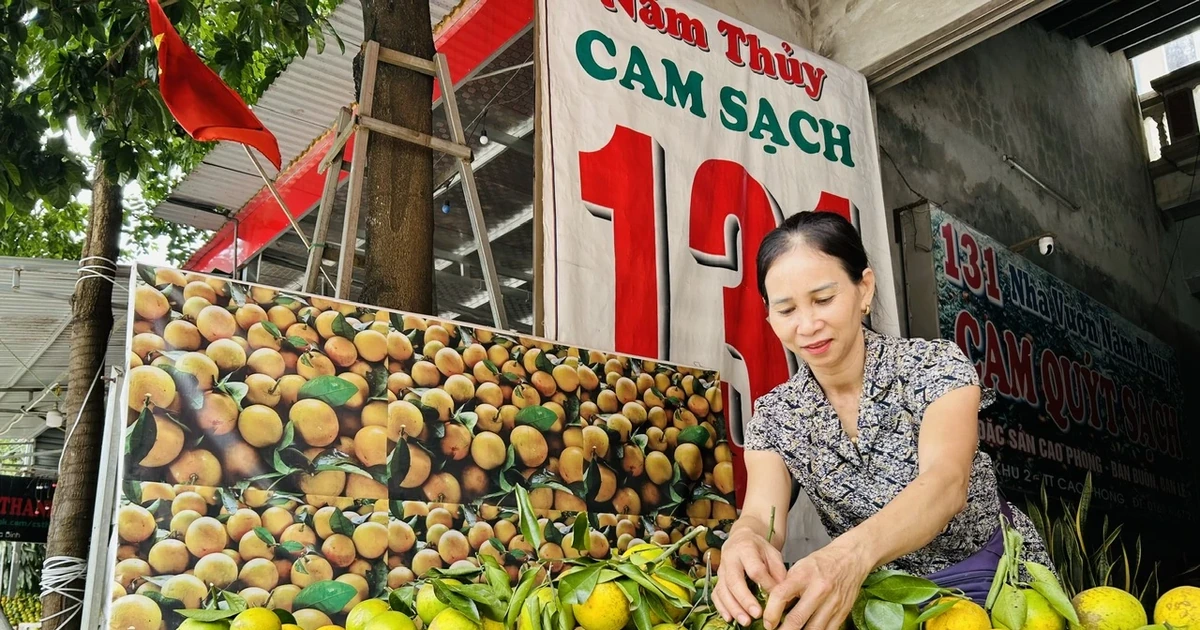 Tích cực chuẩn bị Lễ hội cam Cao Phong 2025