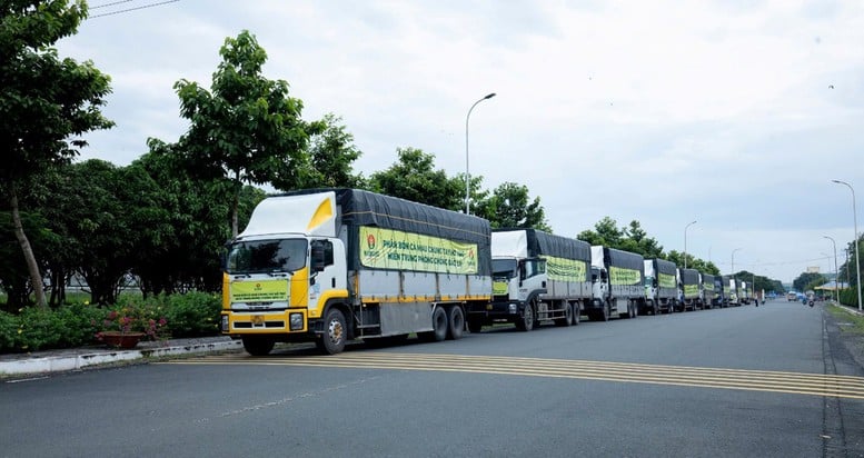 PVCFC khẩn cấp hỗ trợ 