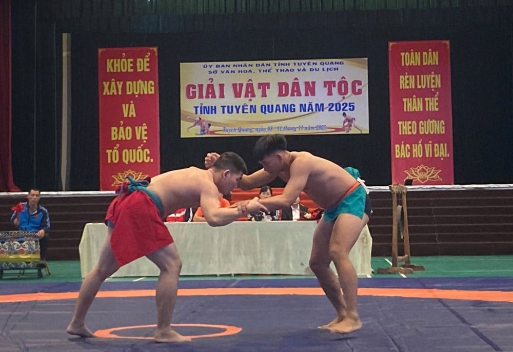 83 спортсмени змагаються на чемпіонаті країни з боротьби провінції Туєн Куанг 2025 року - фото 2