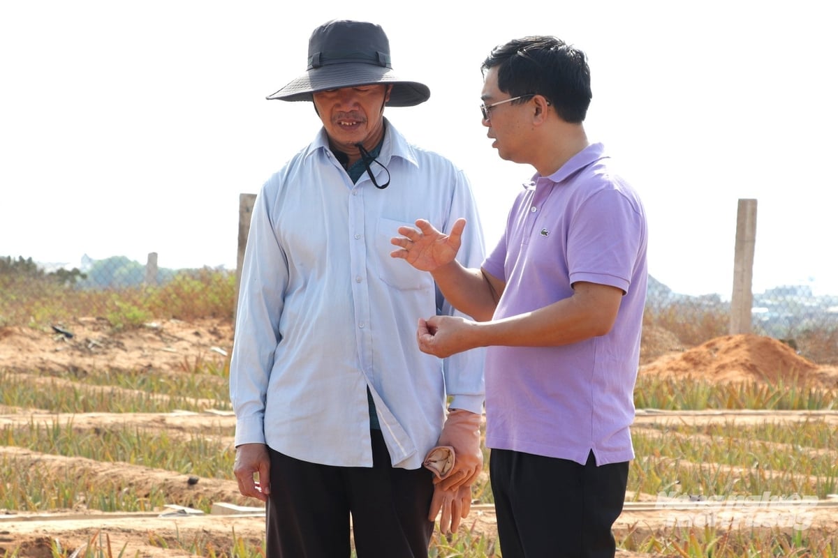Herr Nguyen Van Thu, Vorsitzender von GC Food, im Gespräch mit Landwirten. Foto: Nguyen Thuy. Ông Nguyễn Văn Thứ, Chủ tịch GC Food trao đổi với bà con nông dân. Ảnh: Nguyễn Thủy.