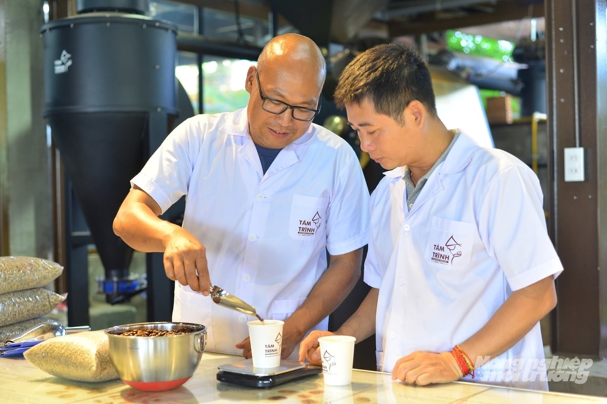 Programy rozwoju kawy wysokiej jakości i kawy specjalistycznej w coraz większym stopniu przyczyniają się do poprawy reputacji i pozycji wietnamskiej kawy. Zdjęcie: Phuong Chi. Các chương trình phát triển cà phê chất lượng cao, cà phê đặc sản ngày càng góp phần nâng cao danh tiếng và vị thế của cà phê Việt Nam. Ảnh: Phương Chi.