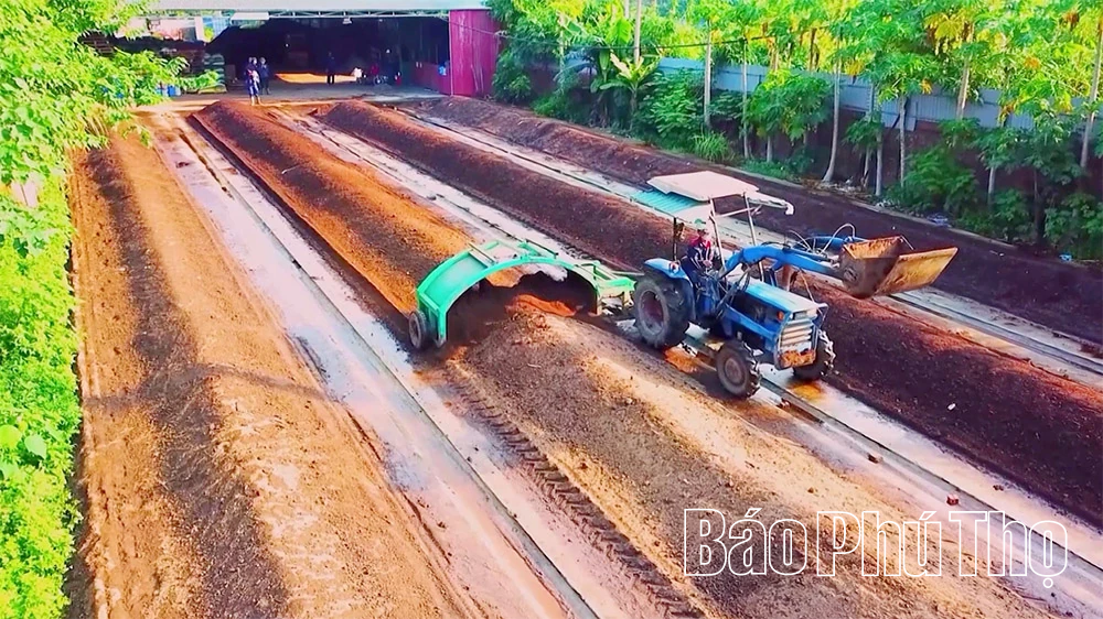 Nők a modern társadalomban