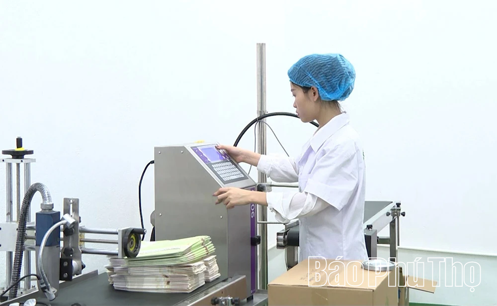 Nők a modern társadalomban