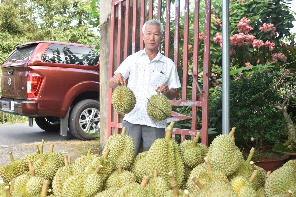 Đã đến lúc cần xây dựng thương hiệu cho sầu riêng Việt Nam. Ảnh: Minh Đảm.