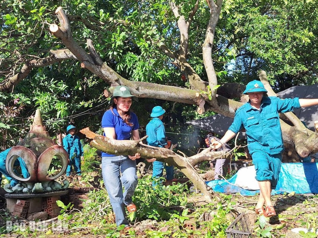 វួដ Binh Kien គាំទ្រប្រជាជនក្នុងការសម្អាត និងអនាម័យបរិស្ថានបន្ទាប់ពីព្យុះលេខ ១៣។