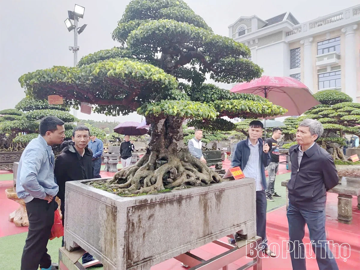 ពិធីបើកពិធីបុណ្យដាំដើមឈើលម្អទឹកដីដូនតា Phu Tho - 2025