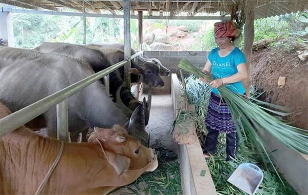 ផ្សព្វផ្សាយគម្រោងអភិវឌ្ឍន៍ផលិតកម្ម ពាណិជ្ជកម្ម សេវាកម្ម និងទេសចរណ៍សហគមន៍ ដើម្បីកាត់បន្ថយភាពក្រីក្រប្រកបដោយចីរភាព - រូបថត ១.