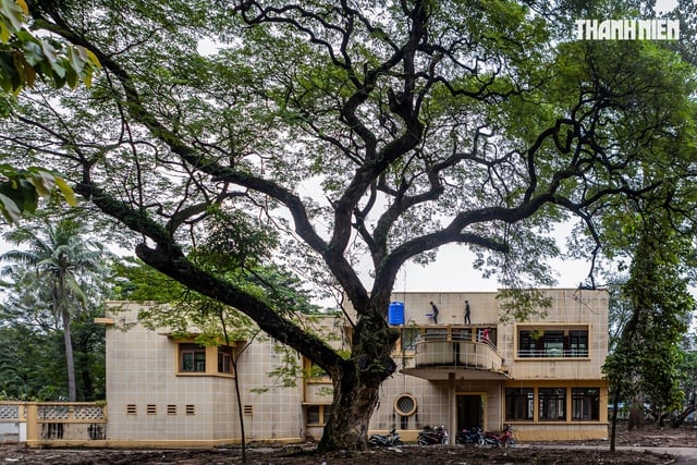 Đài tưởng niệm nạn nhân Covid-19: Cần đảm bảo công trình mang lại hiệu quả tích cực- Ảnh 2.