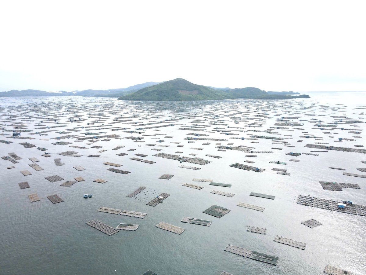 Vịnh Xuân Đài được xem là 'thủ phủ' nuôi tôm của cả nước. Ảnh: Tuấn Anh.