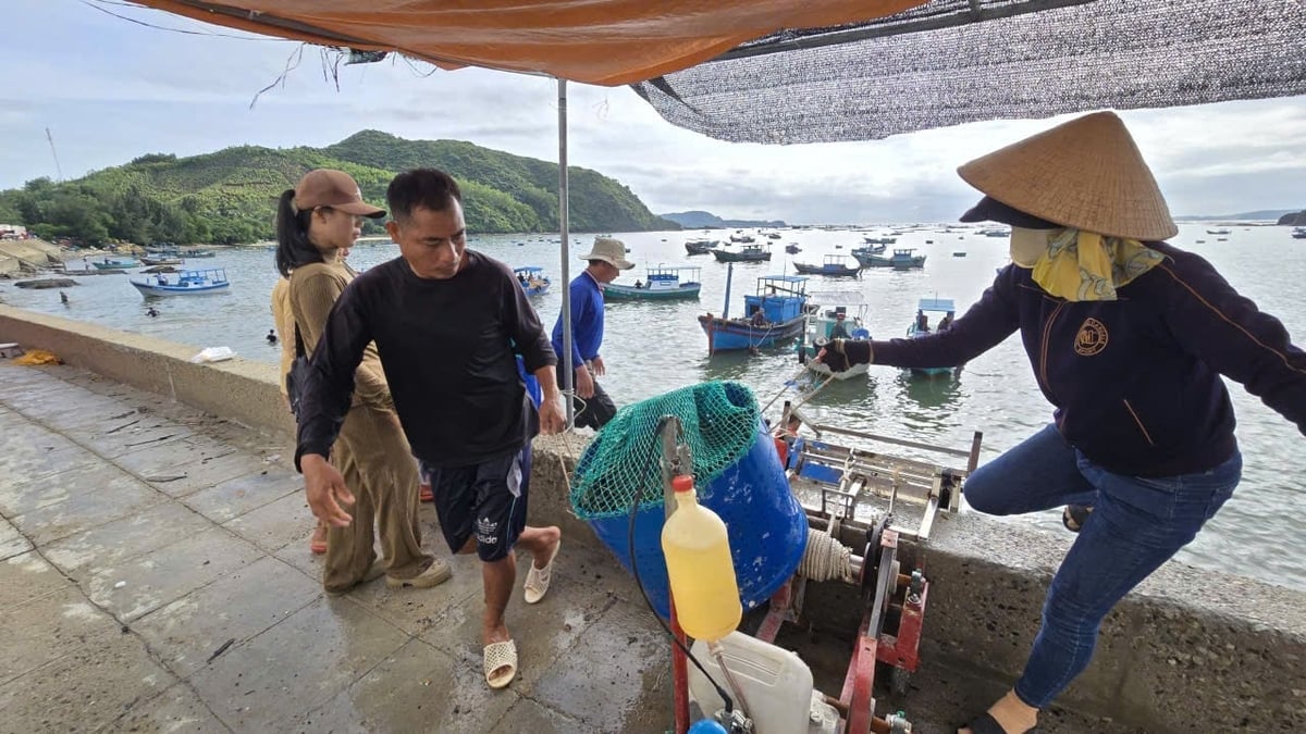 Người dân tranh thủ đưa tôm hùm vào bờ. Ảnh: Tuấn Anh.