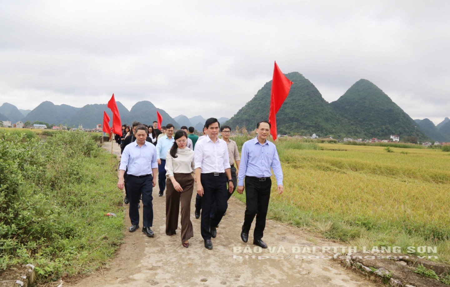 Kamerat Hoang Quoc Khanh, provinsiell partisekretær og nestleder i den provinsielle folkekomiteen, ledere for avdelinger og grener besøkte Quynh Sons gylne risdal
