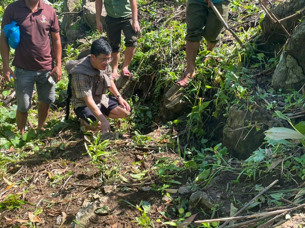 قامت مجموعة العمل التابعة للجنة الشعبية لبلدية با في بفحص منطقة جبل وانغ فوي.