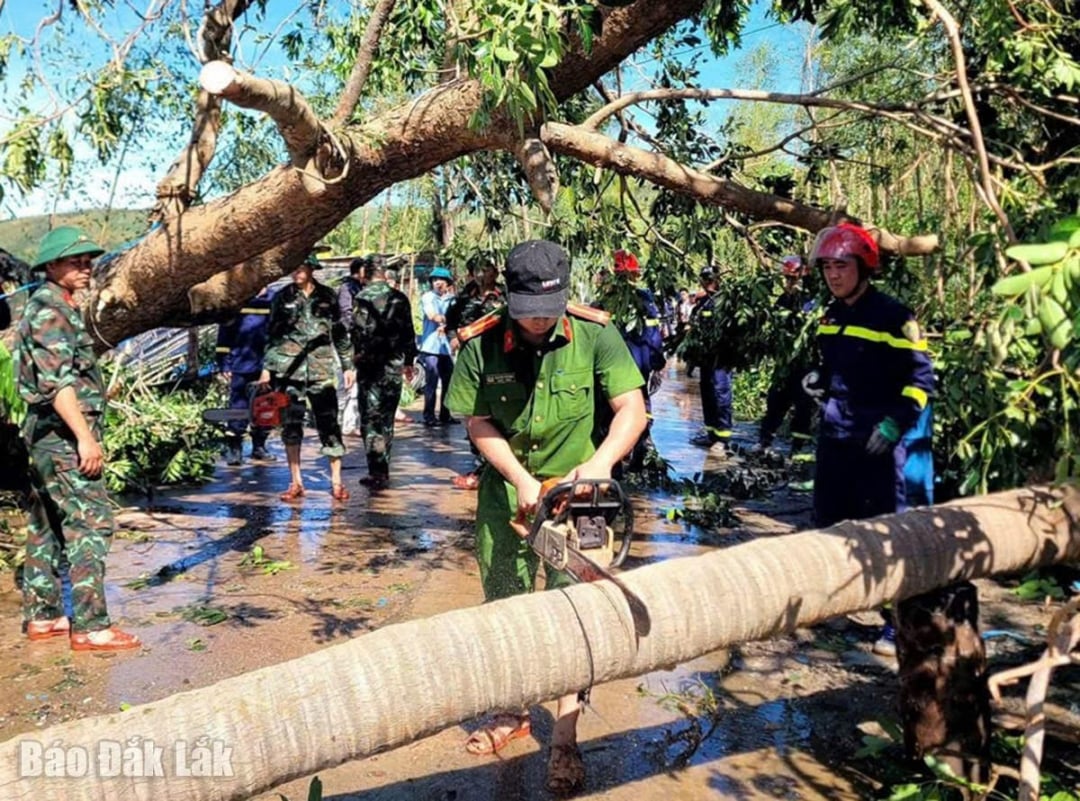 អាជ្ញាធរ​បាន​កាប់​ដើមឈើ​រលំ​មួយ​ដើម​នៅ​តាម​ផ្លូវ​ក្នុង​សង្កាត់ Song Cau ។