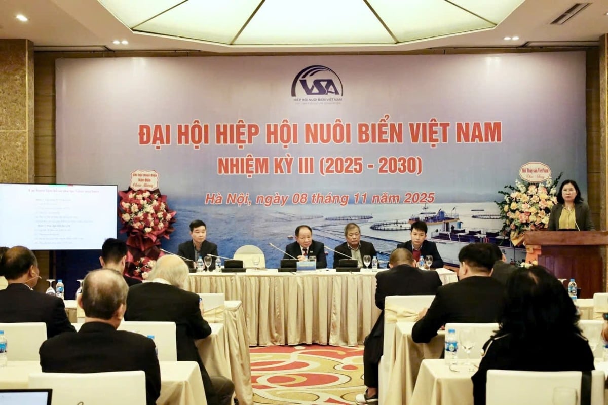 Toàn cảnh Đại hội Hiệp hội Nuôi biển Việt Nam nhiệm kỳ III (2025-2030), diễn ra ngày 8/11. Ảnh: Hồng Ngọc.