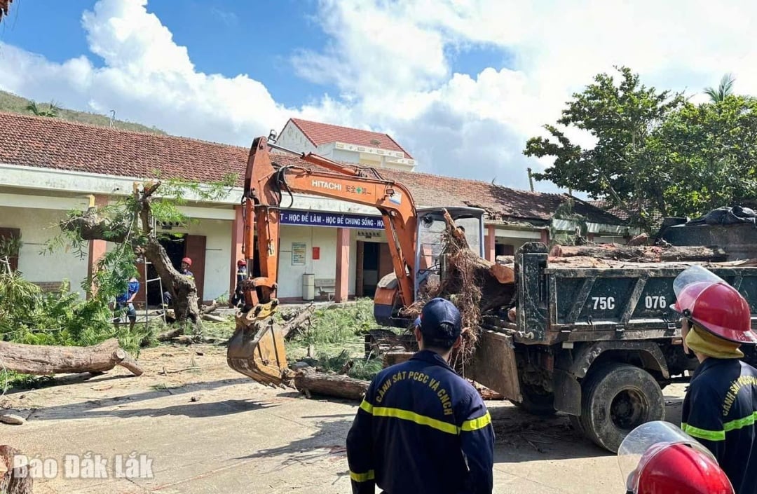 A hatóságok gépi berendezéseket hoztak, hogy segítsenek az iskoláknak a kidőlt fák eltakarításában.