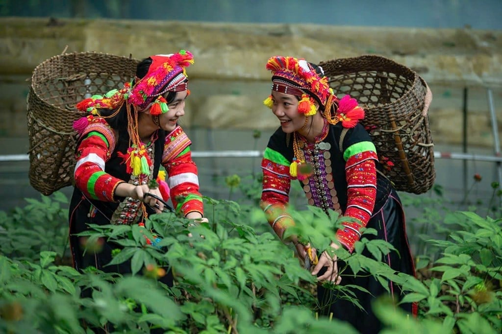 ពិធីបុណ្យនេះគឺជាឱកាសដ៏សំខាន់មួយដើម្បីលើកកម្ពស់ការតភ្ជាប់តម្រូវការផ្គត់ផ្គង់ និងលើកកម្ពស់ឯកទេសក្នុងតំបន់។ រូបភាព៖ ក្រសួងឧស្សាហកម្ម និងពាណិជ្ជកម្ម។