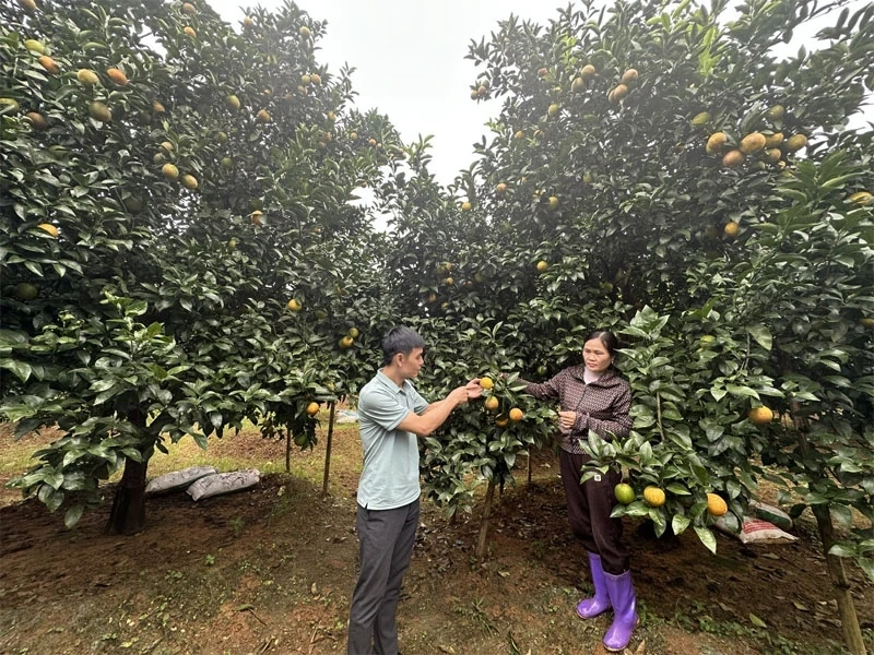 Dien Lu នាំយកសេចក្តីសម្រេចរបស់សមាជបក្សមកក្នុងជីវិត