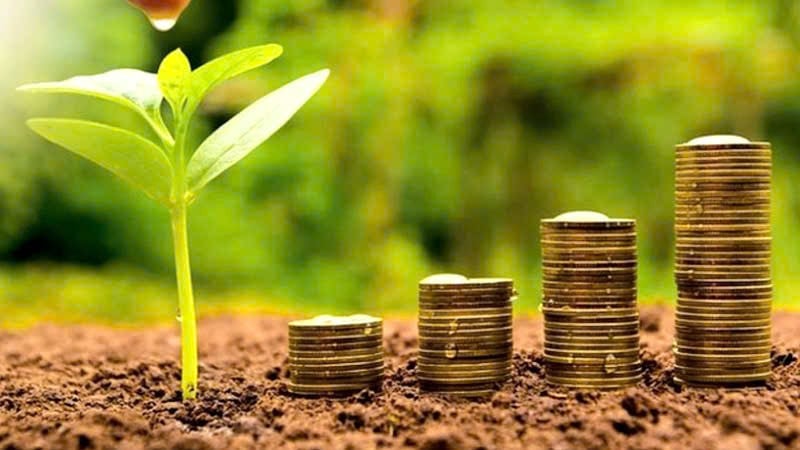 A semana de negociações em meados de novembro continuou a registrar muitas empresas mantendo sua política de dividendos em dinheiro em um nível elevado. (Foto ilustrativa)