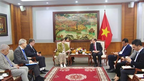 Promover a cooperação na formação cultural e artística entre o Vietname e a Federação Russa.