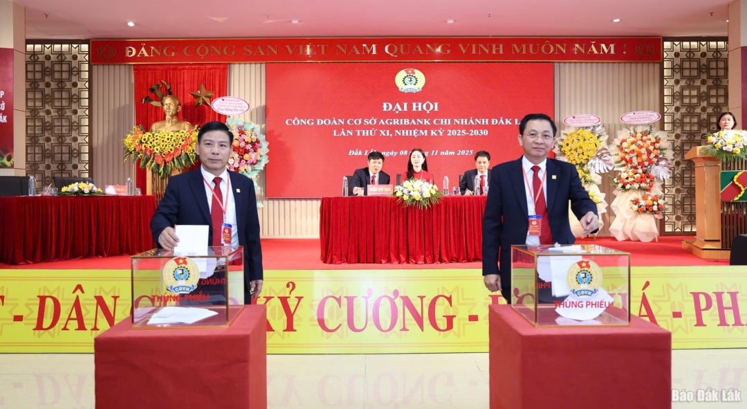 يصوت المندوبون على اللجنة التنفيذية لاتحاد نقابات العمال الزراعيين، فرع داك لاك، للفترة 2025-2030.