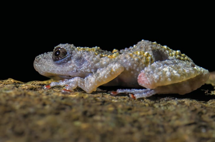 thiên nhiên hoang dã - Ảnh 9.