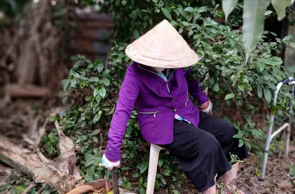 Bình yên sau bão lũ