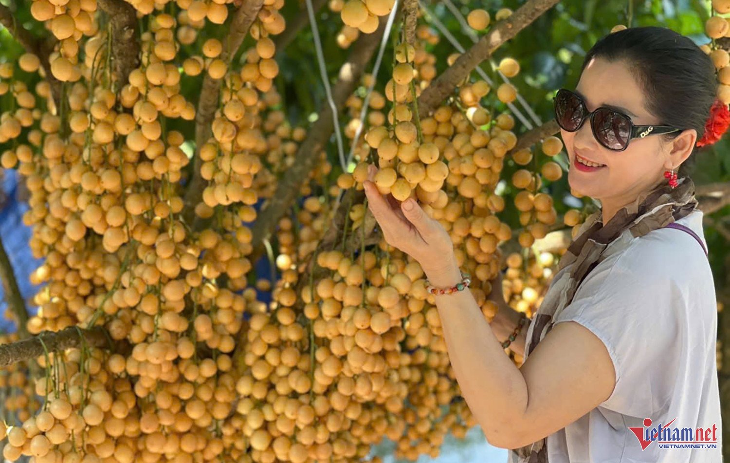 W-taman stroberi.jpg