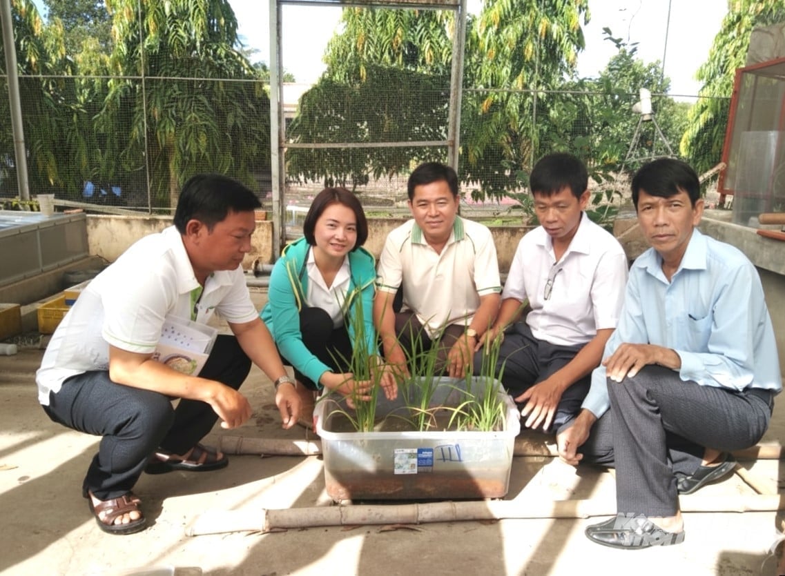 An Giang tổ chức các lớp đào tạo giảng viên nguồn về IPHM. Ảnh: Trung Chánh.