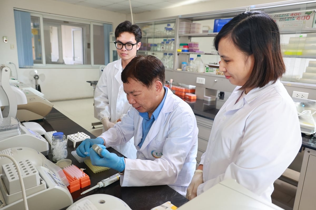 Nguyên Viện trưởng Viện Di truyền nông nghiệp Phạm Xuân Hội (giữa) tại phòng thí nghiệm. Ảnh: Nguyễn Chương.