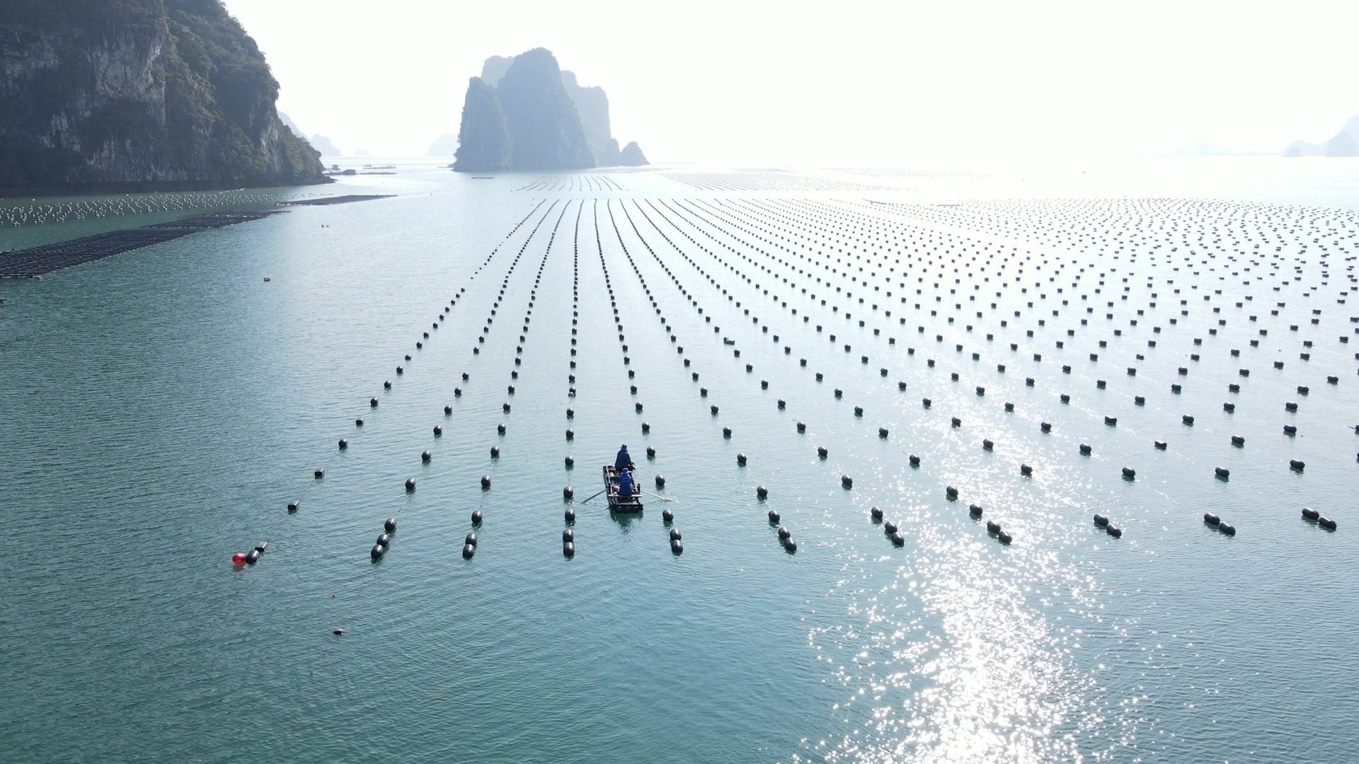 Biển Việt Nam rộng lớn hơn ba lần đất liền, nhưng chúng ta mới chỉ khai thác được một phần rất nhỏ. Phần còn lại đang chờ được canh tác, được đầu tư, được đánh thức bằng tầm nhìn mới. Ảnh: Hồng Thắm.