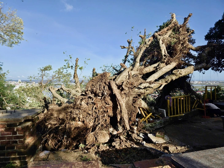 Tháp Nhạn - Ảnh 2.