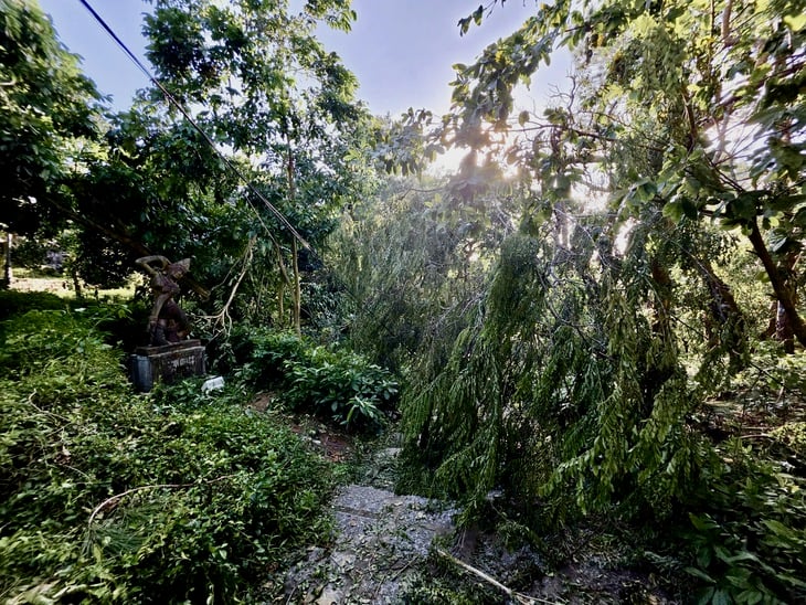 Tháp Nhạn - Ảnh 4.