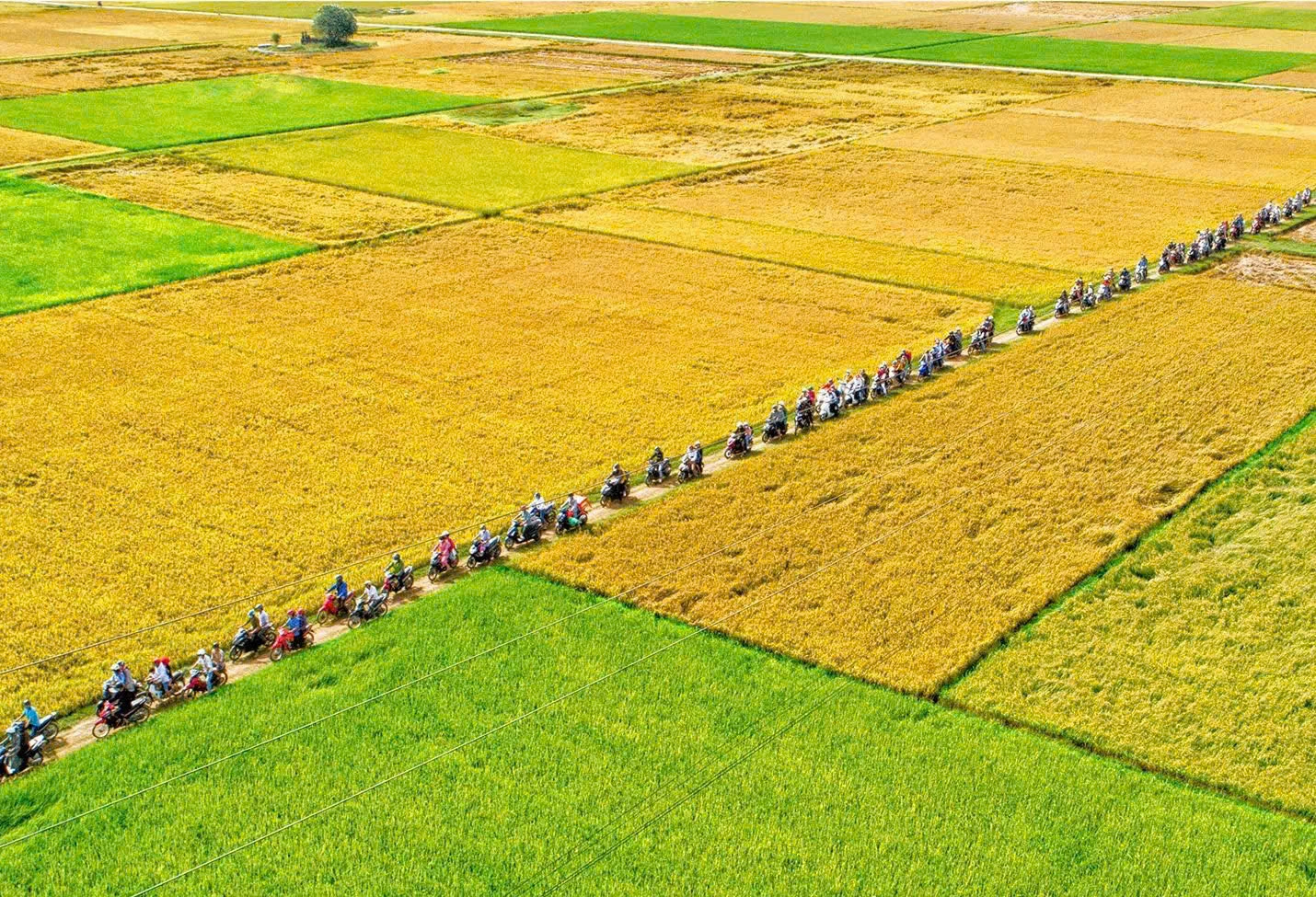 ຜົນງານ “ພາບແຕ້ມຊົນນະບົດ” ຂອງນັກຖ່າຍຮູບ ຮວ່າງແອງ - ພາບ: NVCC