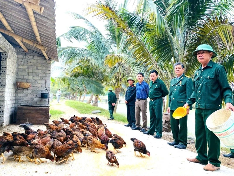 Сяючи на новому фронті