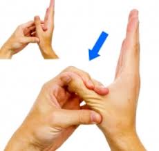 5 bài tập đơn giản giảm đau ngón tay, cổ tay do sử dụng điện thoại di động- Ảnh 2.