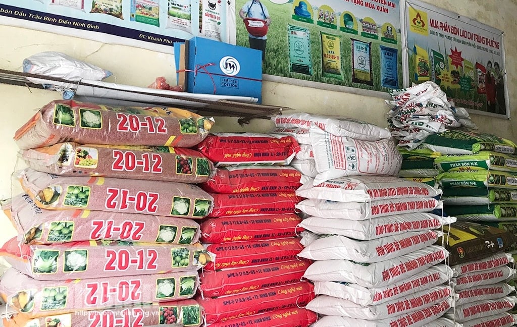 Harga pupuk hari ini, 9 November, dengan produk utama seperti urea, kalium, dan NPK semuanya stabil.